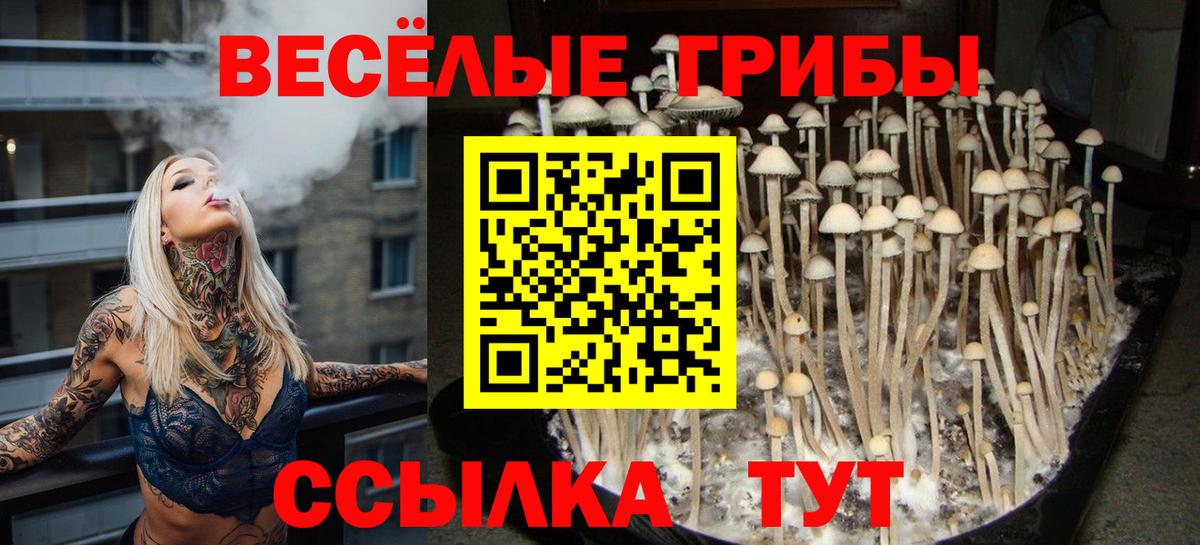 Галлюциногенные грибы мицелий Бугуруслан